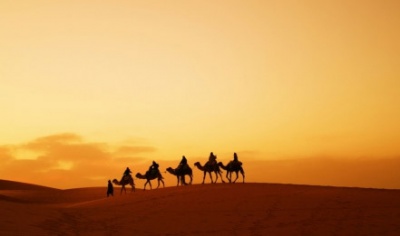 24.KG: В Оше проходит международная сельскохозяйственная выставка «Шелковый путь-2016»