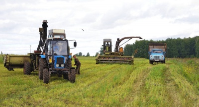 Кыргызстан увеличивает посевные площади в связи с вступлением в ЕАЭС