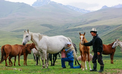 Ритм Евразии: Как Кыргызстану обернуть транзитные ограничения выгодой