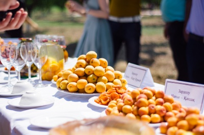 Asia-Plus: Согд - абрикосовый рай