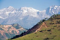 Вечерний Бишкек: В Кыргызстане население питается в основном картофелем и хлебом