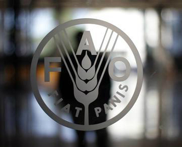 ЕЭК: Укрепляется сотрудничество ЕЭК и ФАО ООН